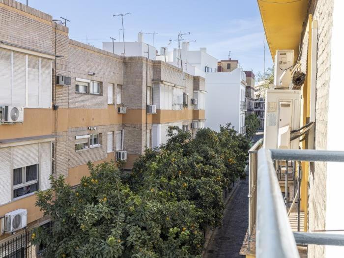 Pureza Dreams De Sevilla Oasis En Triana エクステリア 写真